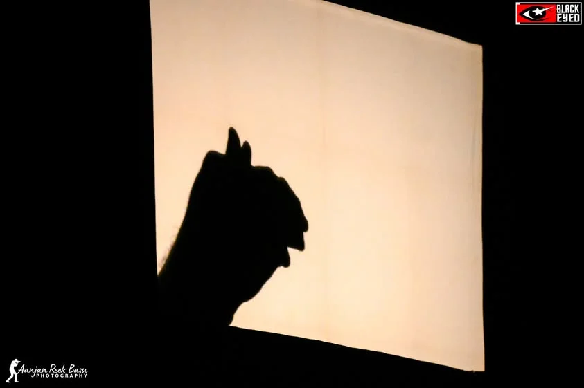 Amar Sen - The Shadow Artist Live at BKTPP, Bakreswar — event photograph 16