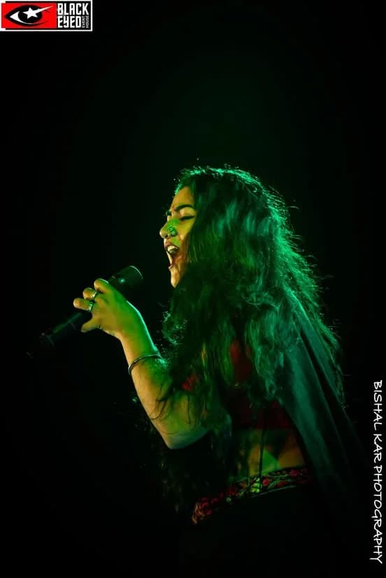 AUL- BAUL LIVE — event photograph 5